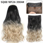 Adjustable Synthetic Hair Curtain Wig for Women