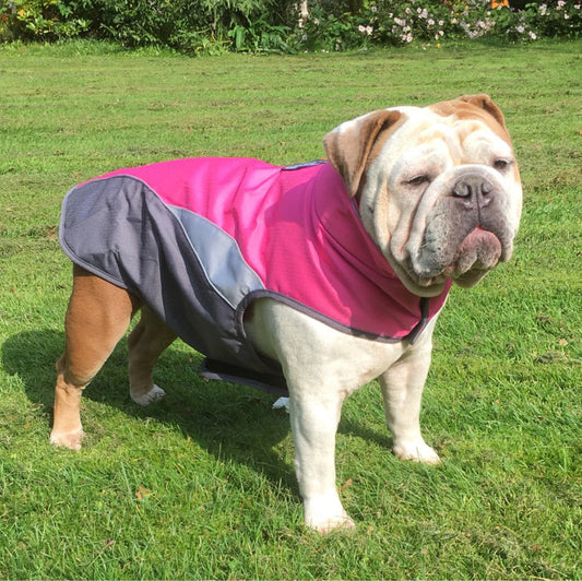 Waterproof outdoor pet poncho by My Store, lightweight rain cover for dogs and cats
