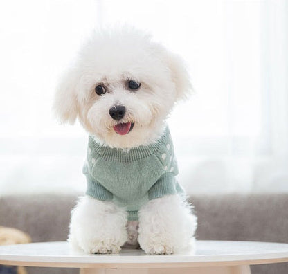 Dog clothes by My Store, featuring a comfortable outfit for small dogs