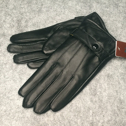 Men's warm gloves in a classic design, shown against a clean background