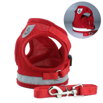 Pet car seat belt leash for securing dogs during vehicle travel
