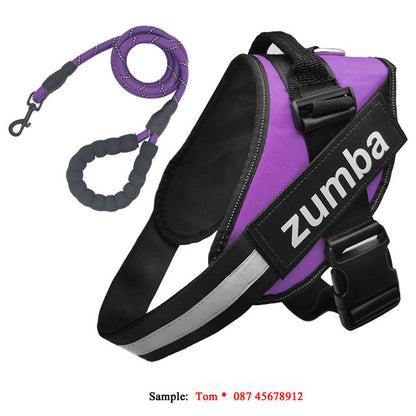 Personalized reflective breathable adjustable dog harness and leash set, Type 7, shown in detail