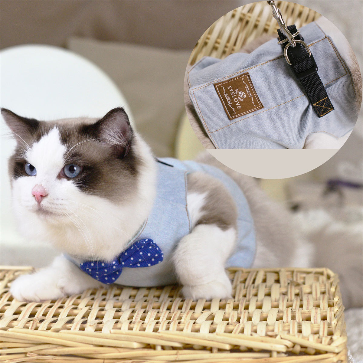 Rope cat traction chest strap set with bow detail by My Store