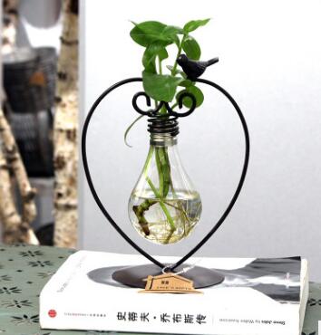 Hydroponic plant vessel glass planter pot with steel stand for indoor green plants
