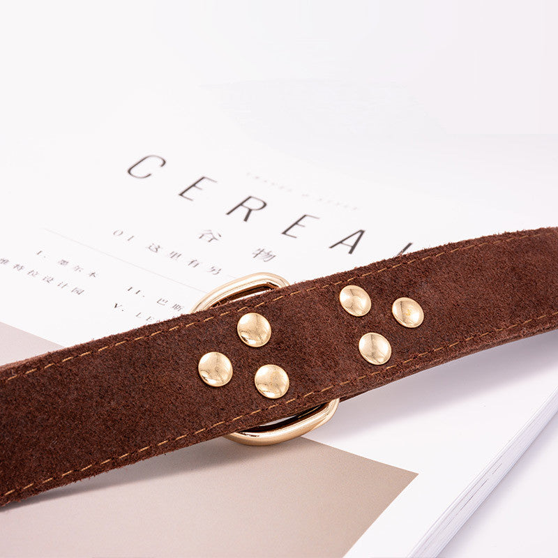 Dog collar in a simple design by My Store