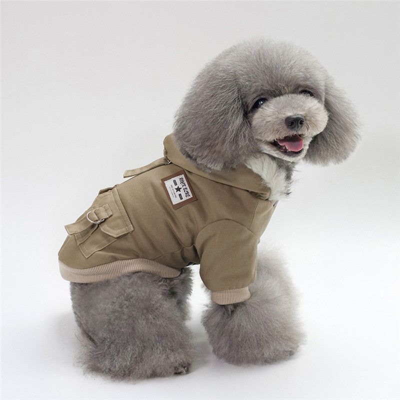 Cap dog coat with cap-style hood, shown in a simple product view