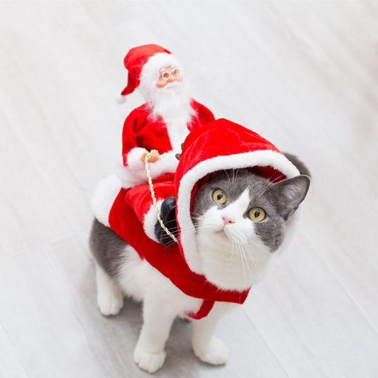 Green elf Christmas costume for dogs, featuring festive holiday details and a playful pet outfit design