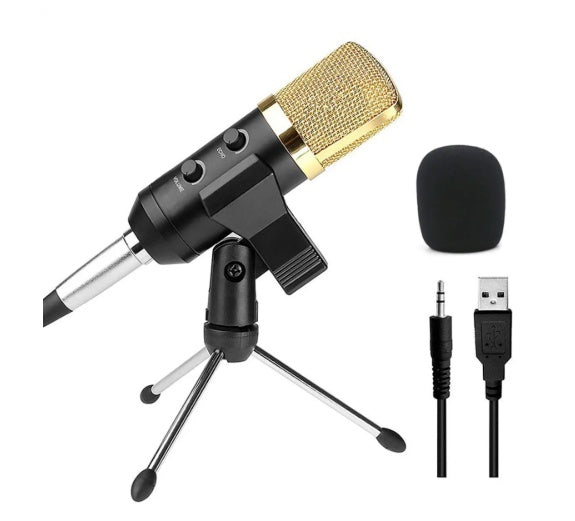 Reverb BM800 microphone with black metal grille and adjustable stand; My Store brand
