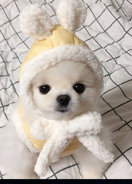 Warm pet clothes for dogs and cats, cozy winter outfit in soft fabric