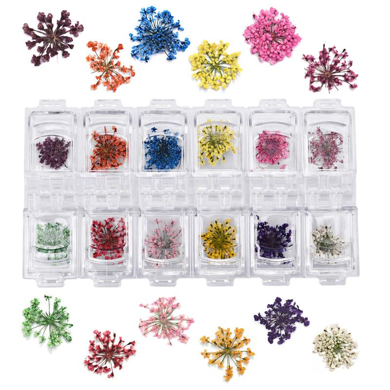 Three-dimensional dried flower arrangement with preserved petals and natural texture