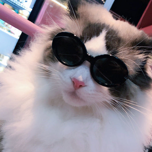 Red cat model pet sunglasses with love-shaped eyeglass frames