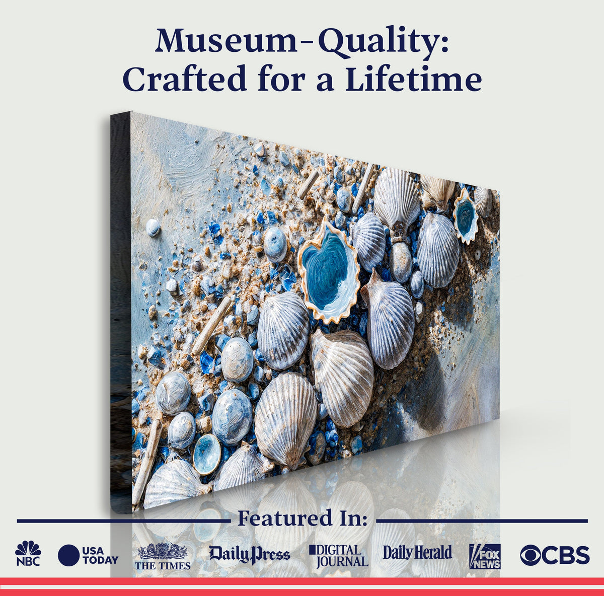 Sea Shells Modern Coastal Wall Art II