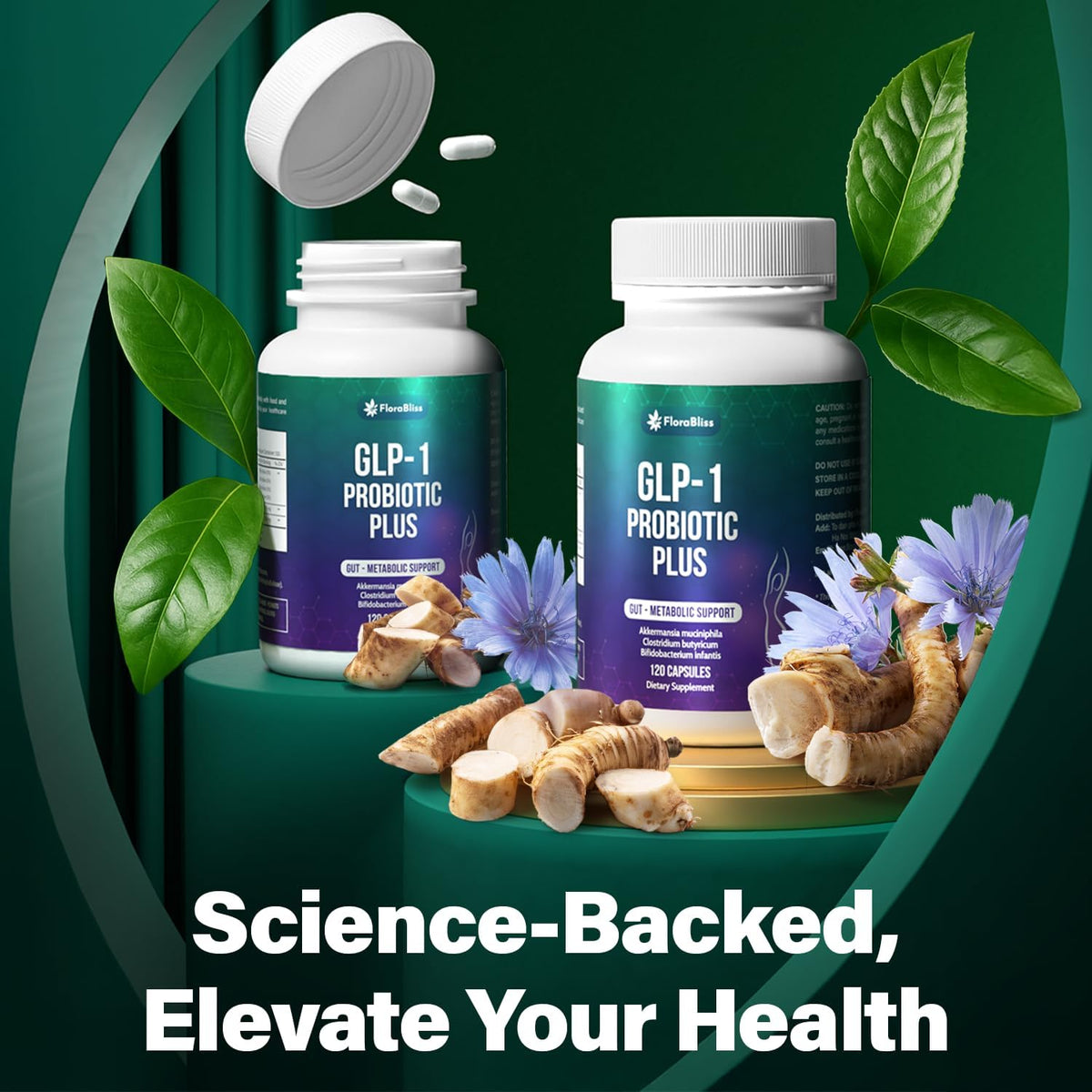 Probiotic Capsules - 900 Million AFU of Akkermansia, Clostridium, Bifidobacterium. Added Prebiotic Chicory and Green Tea Exact.