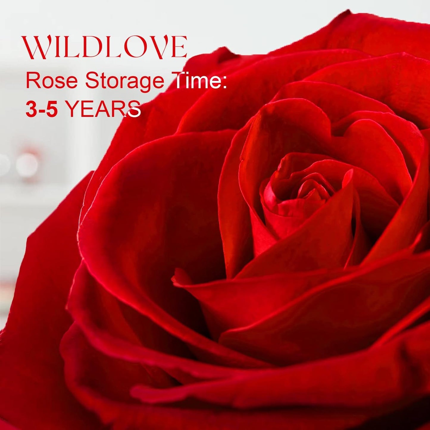 Preserved real rose with "I Love You" necklace, romantic floral jewelry by BACKUPMYFILESNOW.COM®.