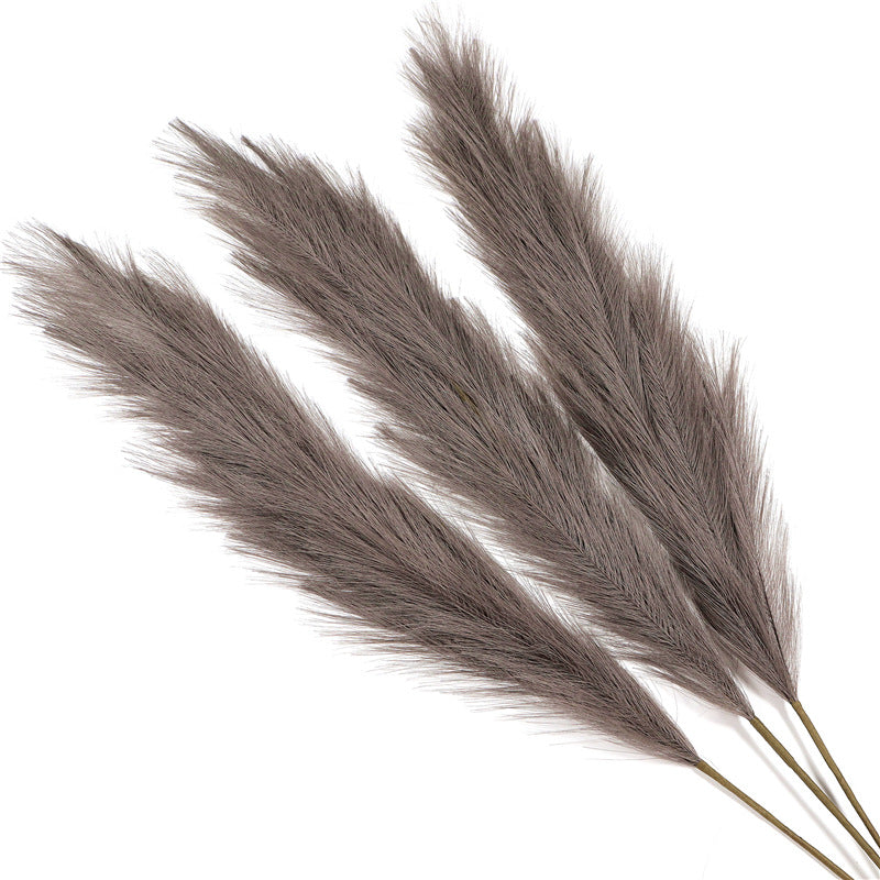 Long 110 cm natural simulation reed grass pampas window decoration, airy beige plumes in a minimalist display