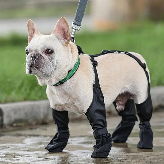 Waterproof adjustable dog boots, soft breathable French shoes for outdoor walking and paw protection