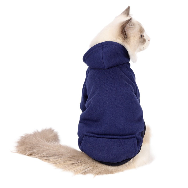 Small and medium-sized dogs wearing caps and fleece clothes