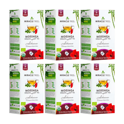 Organic Moringa Herbal Tea with hibiscus from Miracle Tree, caffeine-free herbal tea in a clear glass cup with vibrant tea.