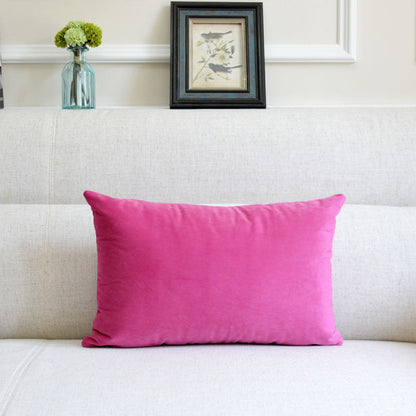 Velvet throw pillow for sofa in soft fabric and elegant design