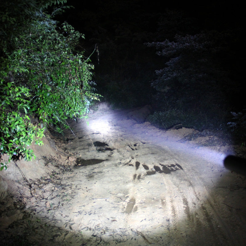 Flashlight with defensive baseball bat, showing integrated light and sturdy bat design