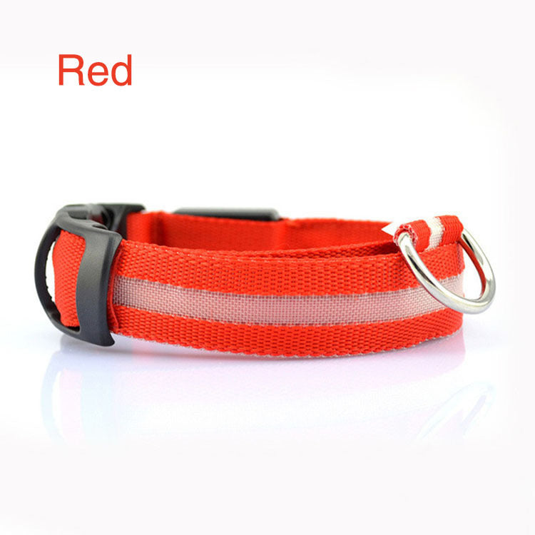 Safety Dog LED Collar glowing for visibility in low light conditions
