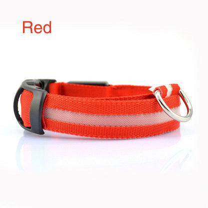 Safety Dog LED Collar glowing for visibility in low light conditions