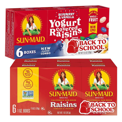 Sun-Maid raisin snack pack bundle featuring blueberry vanilla yogurt and classic California sun-dried raisins in 1 oz boxes.