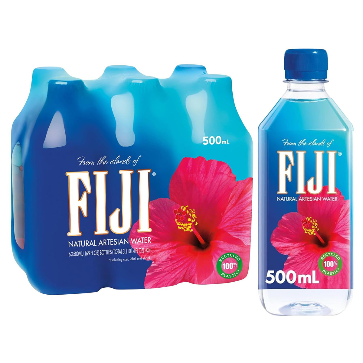 Six 500ml bottles of BACKUPMYFILESNOW natural artesian bottled water from Fiji, clear plastic bottles with blue caps and labels.