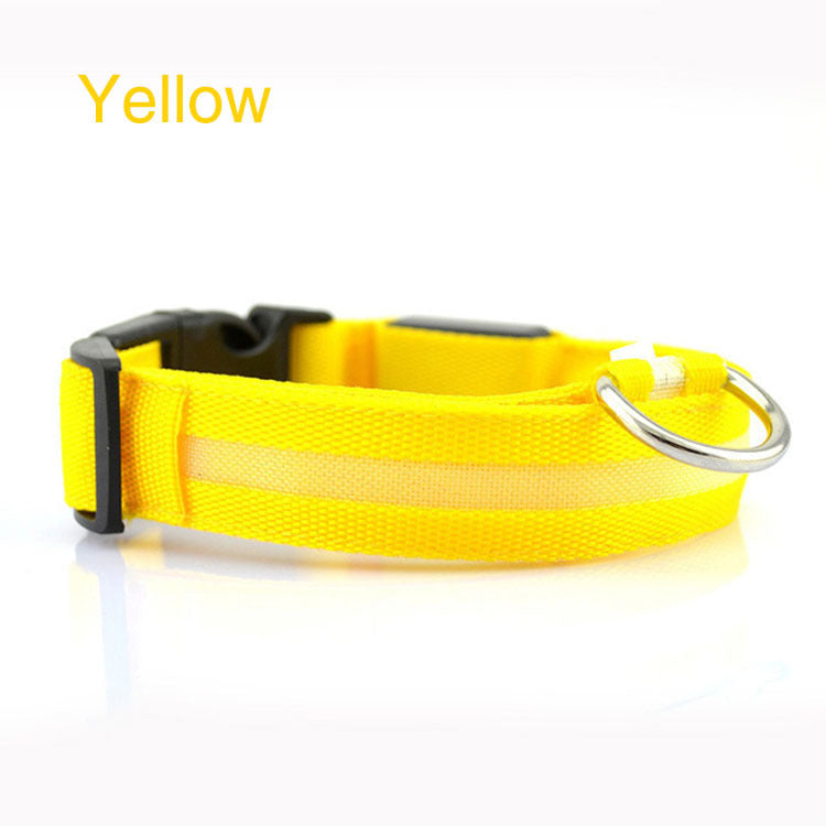 Safety Dog LED Collar in a close-up view, featuring a bright LED light strip for nighttime visibility