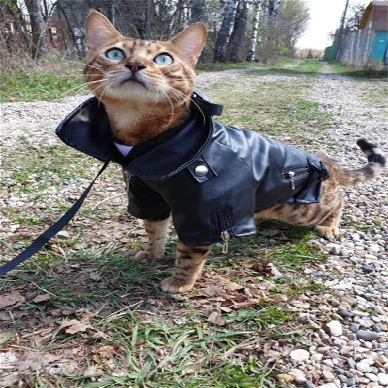 Small dog leather jacket with embroidered eagle sticker design, front view