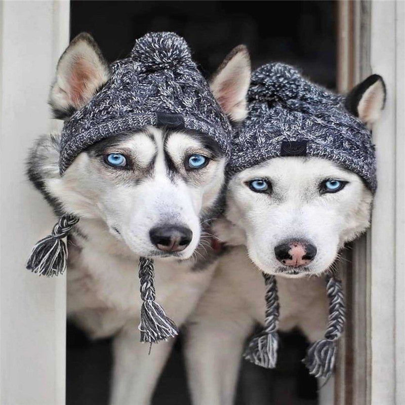 Pet dog autumn and winter woolen hat in warm, cozy knit design