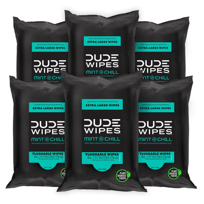 DUDE Wipes - Flushable Wipes Travel Pack - 6 Pack 108 Wipes - Mint Chill Extra-Large Adult Wet Wipes - Vitamin-E Aloe Vera Eucalyptus and Tea Tree Oils - Septic and Sewer Safe Butt Wipes
