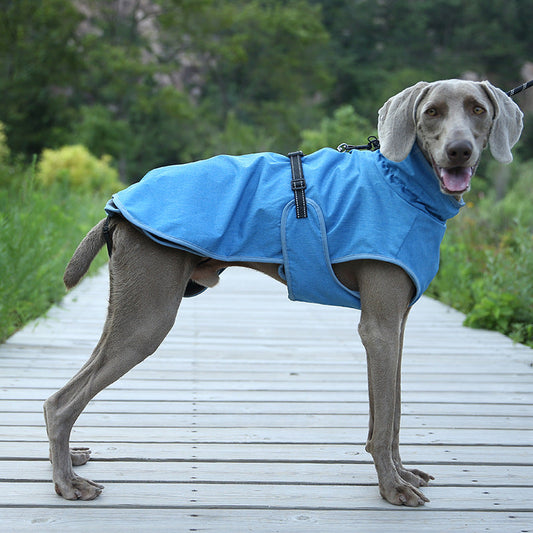 Dog wearing a pet shell jacket winter outdoors ski suit for cold-weather protection