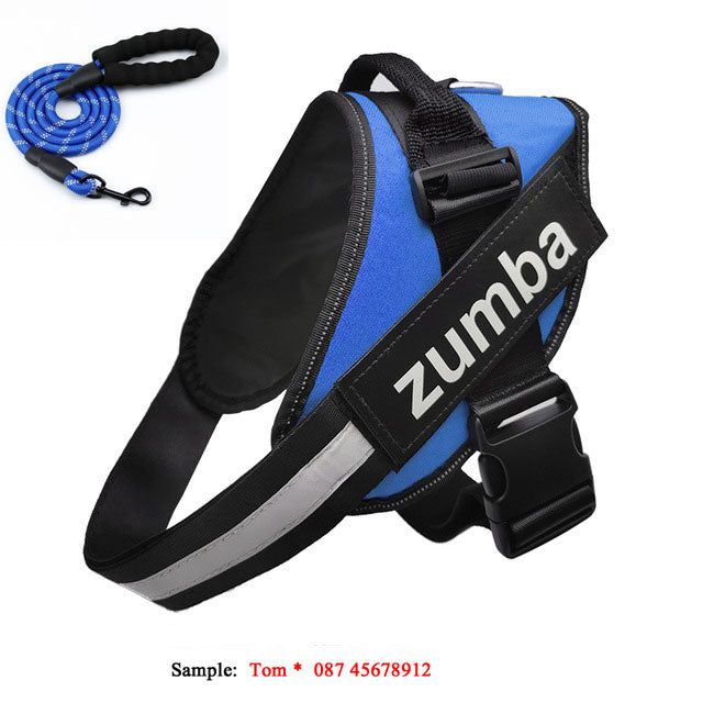 Personalized reflective breathable adjustable dog harness and leash set, Type 7 design