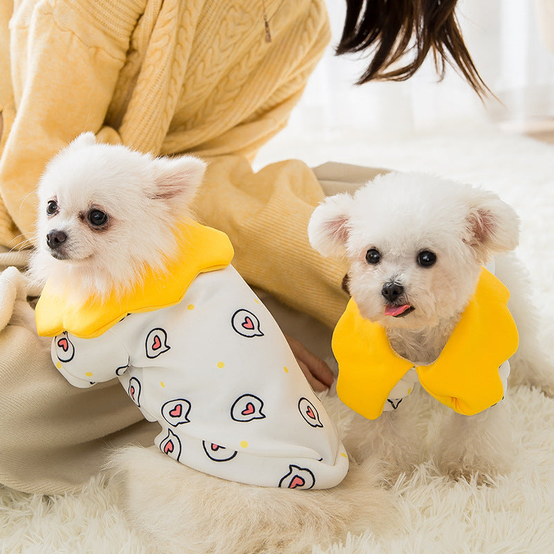 Cat pet clothes displayed for a cat, featuring a comfortable, stylish design by My Store