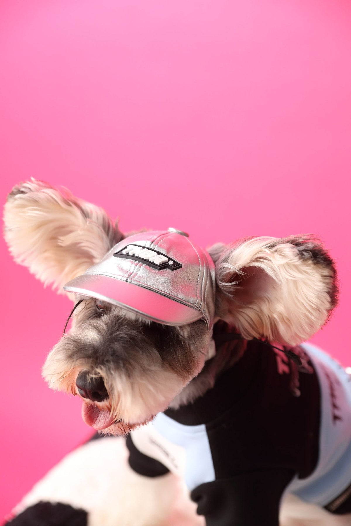 Dog stitching zipper pullover sweater in a cozy design for pets