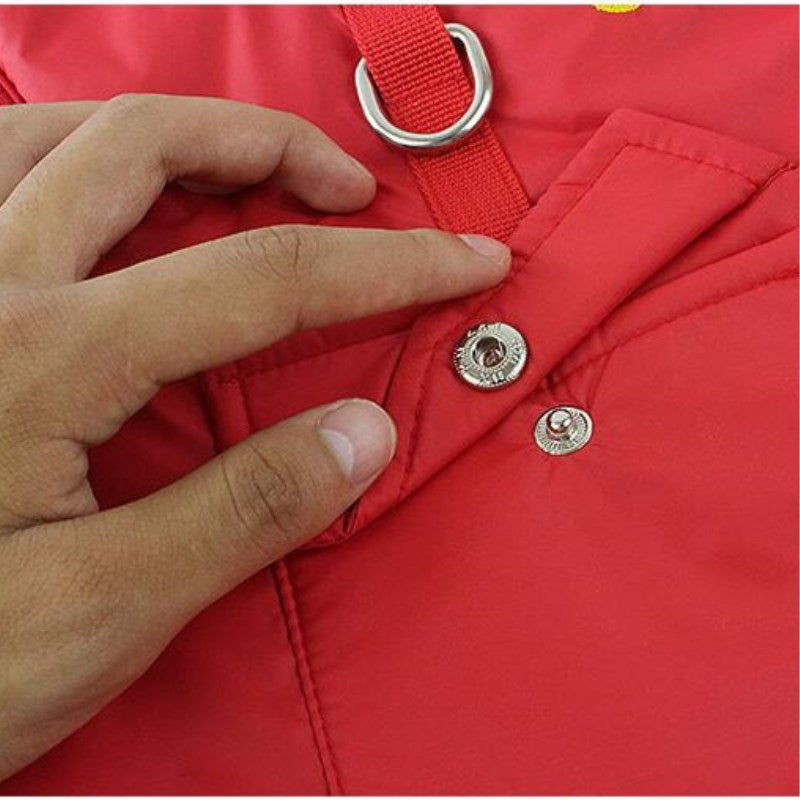 Winter cotton coat for pet dogs in warm padded fabric, shown in a simple design