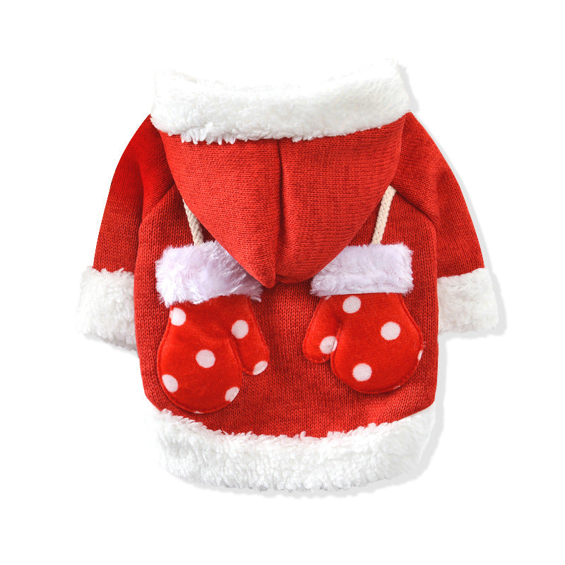 New dog Christmas sweater in festive holiday design, shown on a dog