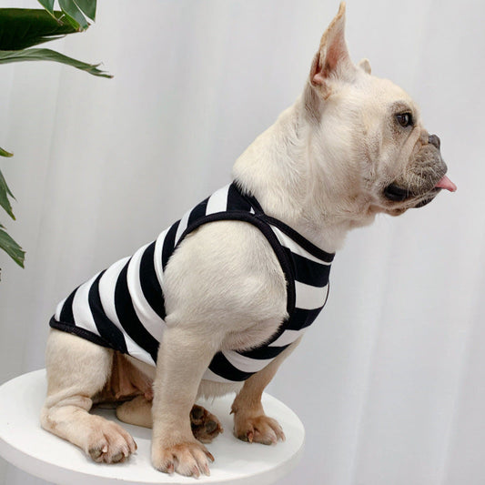 Personalized fashionable dog summer clothes, thin section design in lightweight fabric
