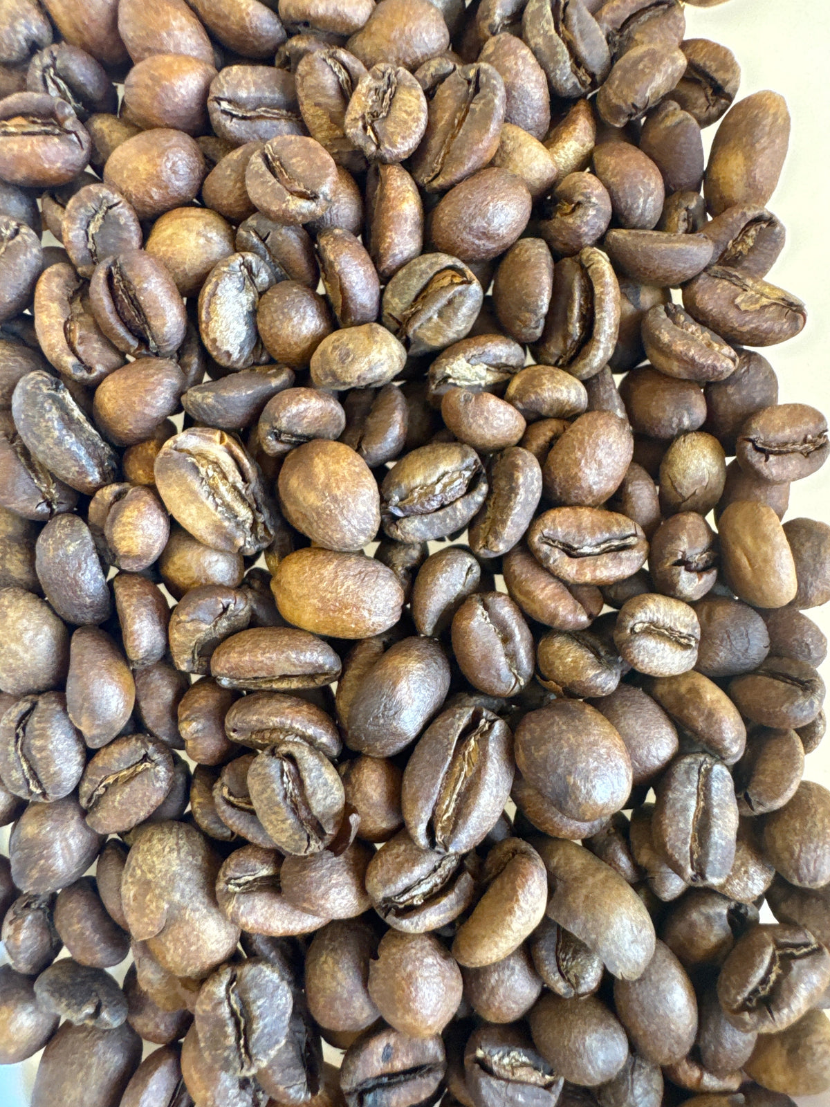 Light roast Ethiopia Buncho Honey Sidama coffee bean bag from Good Brothers Coffee LLC, showcasing fresh roasted coffee beans.