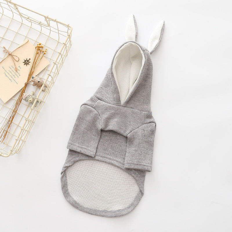 Small dog knitted sweater with rabbit ears costume in a cozy, textured design