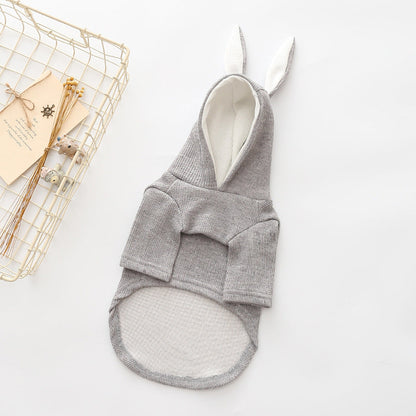 Small dog knitted sweater with rabbit ears costume in a cozy, textured design
