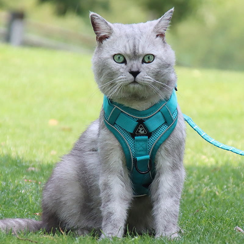 Silver gradient anti-breakaway cat rope chain close-up