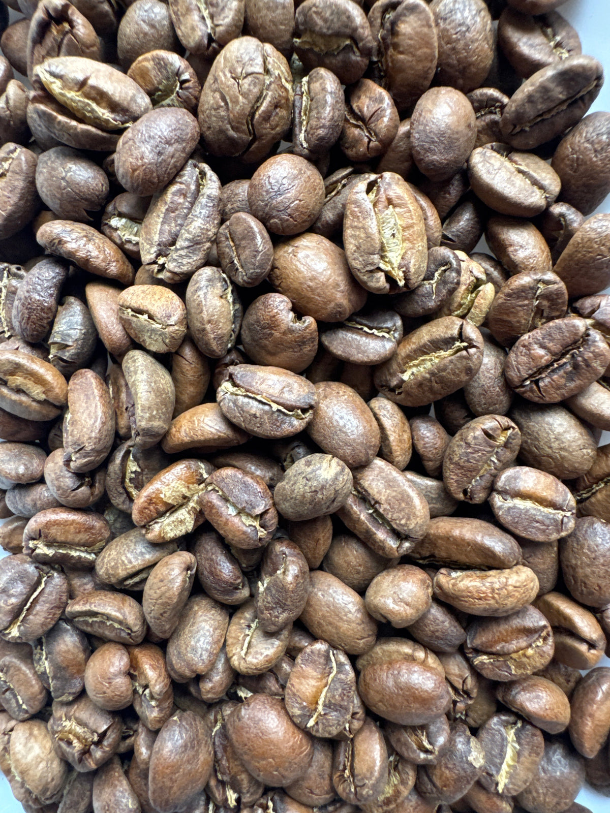 Freshly roasted Costa Rica Cafe Vida Washed coffee beans from Good Brothers Coffee LLC displayed in a bag.