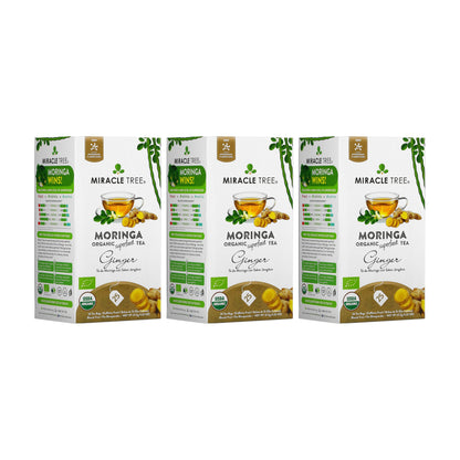 Organic Moringa Ginger herbal tea by Miracle Tree, featuring dried moringa leaves and ginger root in a tea bag.