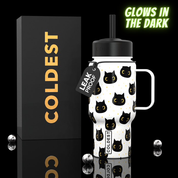 Coldest 6.7oz insulated water bottle with sleek design, featuring a silver finish and secure lid for keeping drinks cold.