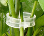 Set of BACKUPMYFILESNOW® garden vine support clips, 7 durable clips for securing plant vines to trellises or stakes.