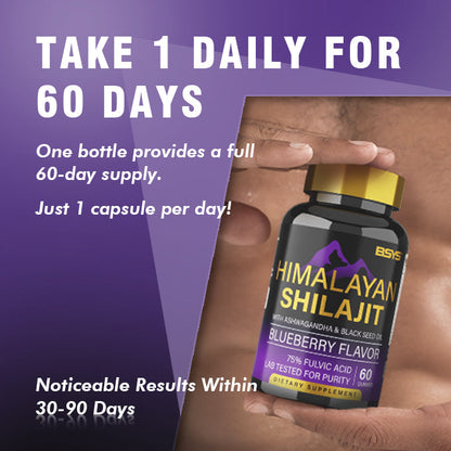 BSYS Shilajit Gummies 60-count bottle and packaging, dietary supplement product image