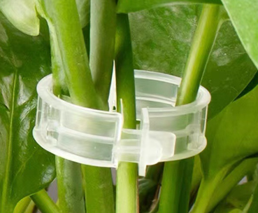 Set of BACKUPMYFILESNOW® garden vine support clips showing flexible plastic clips for securing climbing plants to supports.