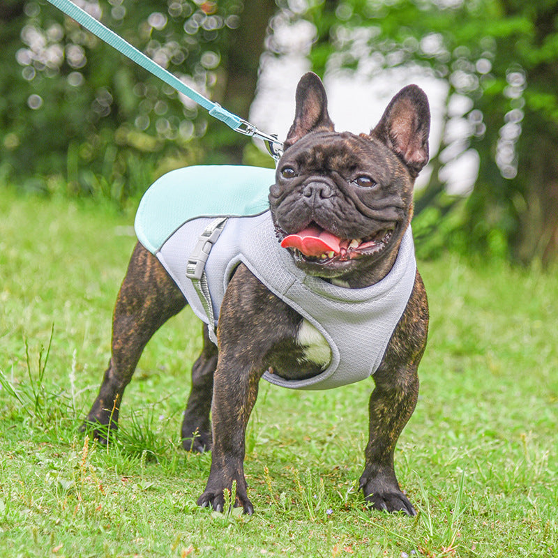 Summer pet outdoor breathable cooling vest by My Store for dogs and cats